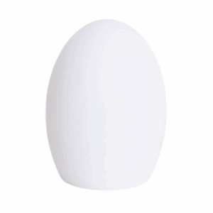 Eivormige RGB tafellamp LED draagbaar oplaadbaar IP65 met afstandsbediening 19 cm