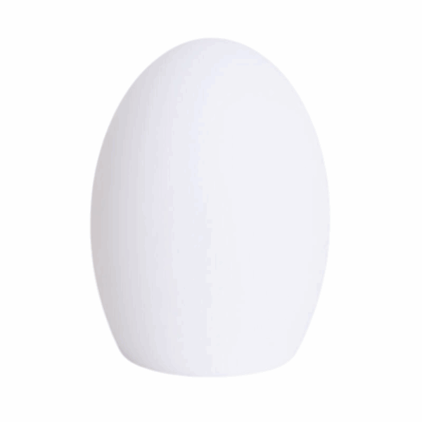 Eivormige RGB tafellamp LED draagbaar oplaadbaar IP65 met afstandsbediening 19 cm